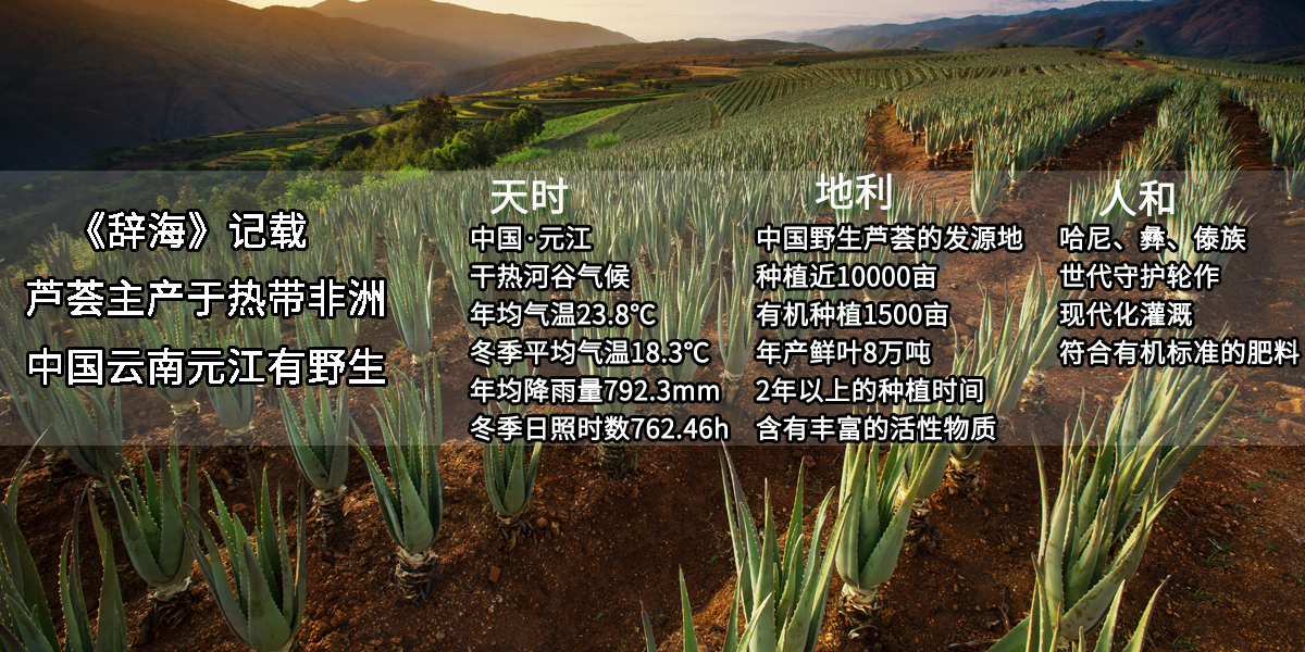 天時地利人和.jpg