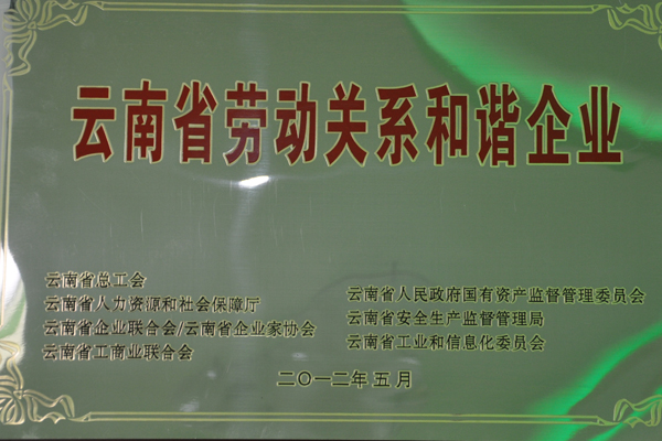 云南省勞動關系和諧企業(yè)